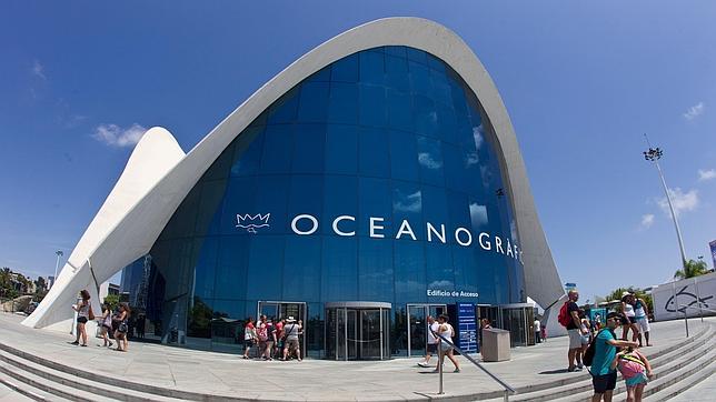 Cuatro empresas pugnan por el Oceanográfico tras la renuncia de Parques Reunidos