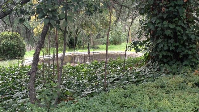 Un rincón de la finca Torre Arias