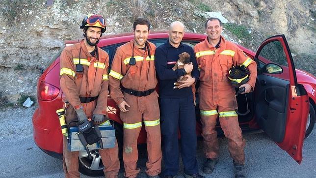 Los bomberos salvan la vida a un cachorro de perro que estaba atrapado en un coche