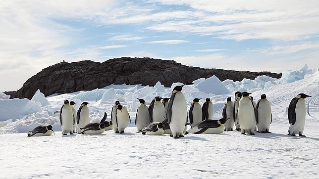Remolinos cálidos derriten el hielo de la costa de la Antártida