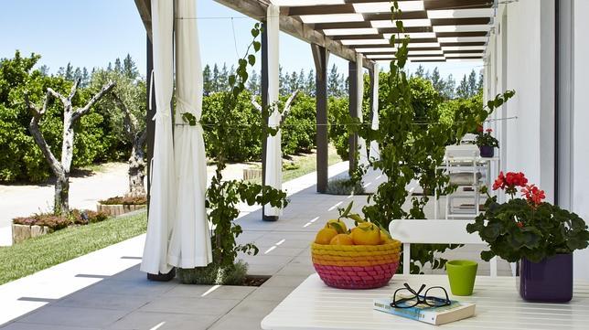 Cuenta con una llamativa plantación de cítricos