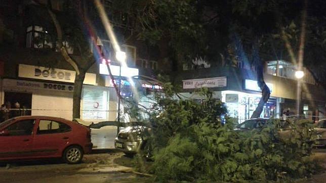 El último temporal de viento deja en las calles 150 toneladas de escombros