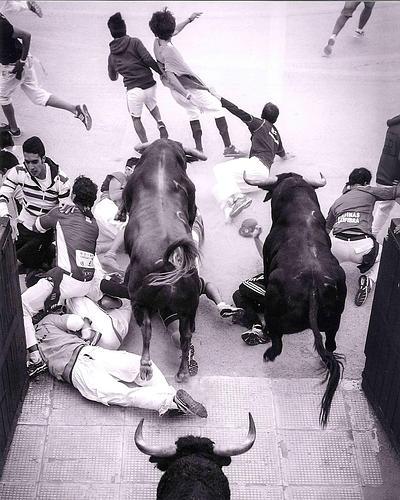 Rubén Albarrán, primer premio del certamen de fotografía de Toroalcarria