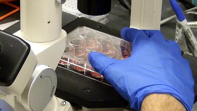 Una vacuna contra el ébola pasa los controles de seguridad en pruebas iniciales
