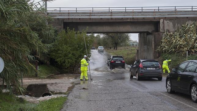 Casi cincuenta incidencias por el temporal de agua y viento en Sevilla