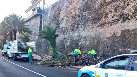 La Aemet rebaja a naranja su aviso por riesgo de vientos y oleaje en Canarias