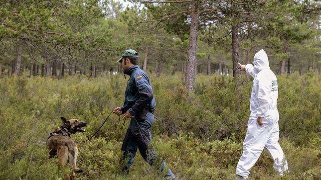 Detienen a dos hermanos por la muerte del holandés desparecido en Petín hace cuatro años