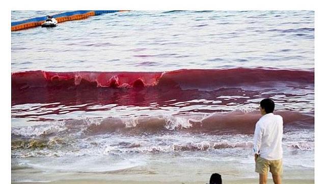 El extraño fenómeno que hace que el agua de una playa de China parezca sangre