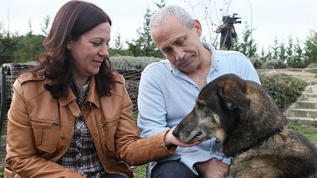 Chacho, el perro abandonado más veterano de Madrid encuentra familia tras 7 años de espera