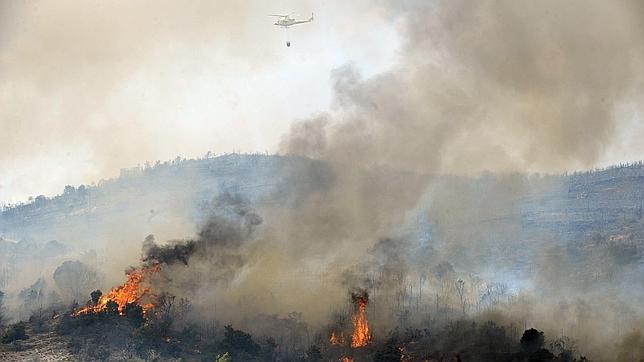 El Gobierno invertirá 500.000 euros en los daños de los incendios de Aleas y Bustares