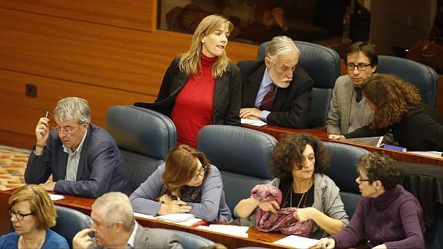 Tania Sánchez, sola y sin «amigos» en su escaño