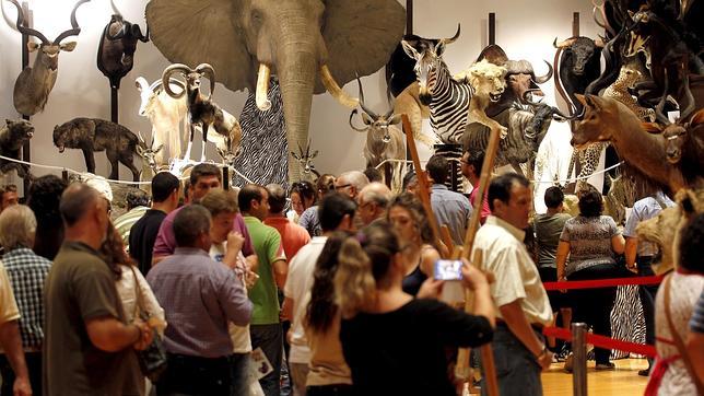 Los negocios de taxidermia en Córdoba se multiplican por cuatro