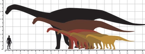Comparativa del tamaño de saurópodos