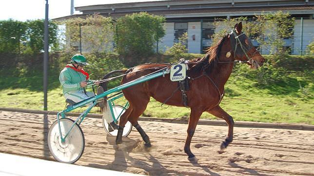 Las carreras de trote continuarán en el Hipódromo durante todo el mes de diciembre