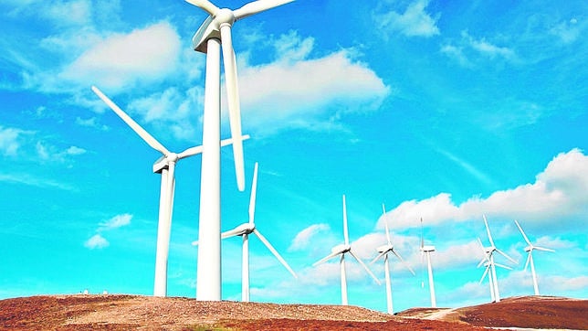 Nace el Grupo Español para el Crecimiento Verde