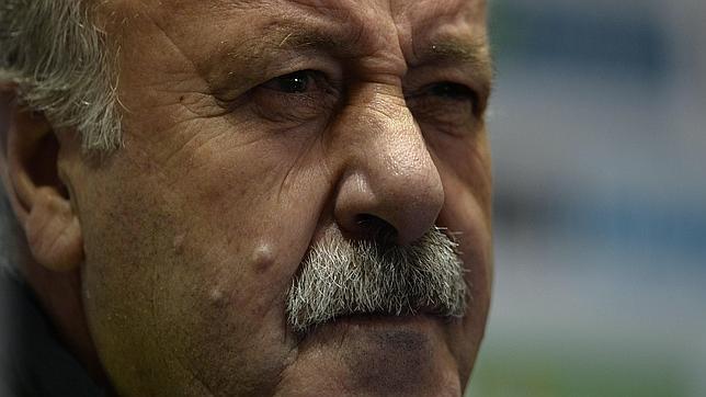 Iberdrola ficha a Vicente del Bosque como consejero de una de sus filiales