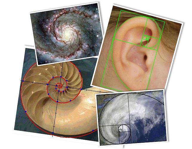 También el espacio-tiempo está sujeto a la «proporción áurea»