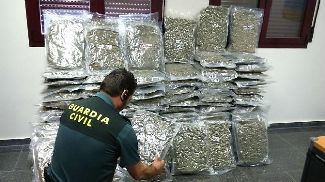 Granada alcanza un récord en el cannabis incautado este año