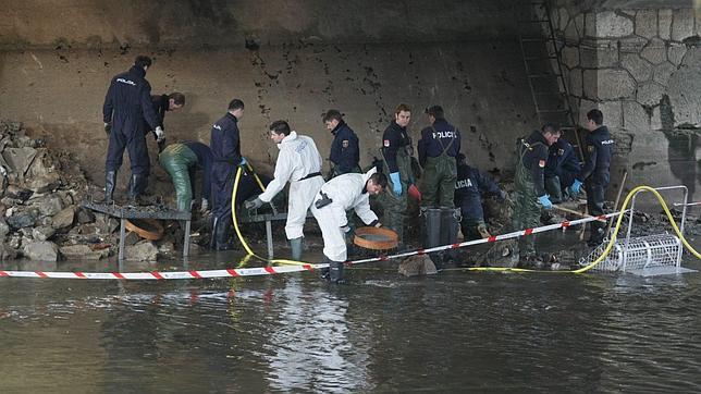 Absuelto un Tigre de Arkan de matar a martillazos y descuartizar a un hombre