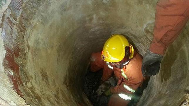 Los bomberos salvan la vida a un perro ciego y abandonado que había caído a una alcantarilla