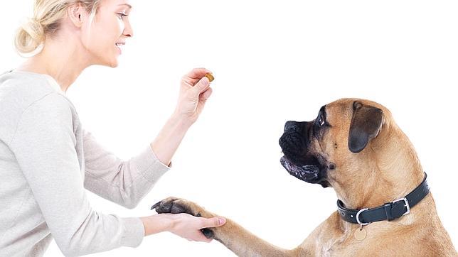 Diez curiosidades sorprendentes del mundo animal descubiertas en 2014