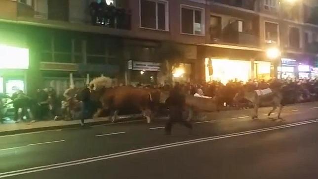 Dos bueyes desbocados provocan pánico en la cabalgata de reyes de Portugalete