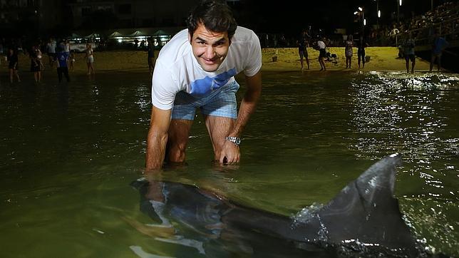 El tenista Roger Federer dando de comer a los delfines en Brisbane (Australia)