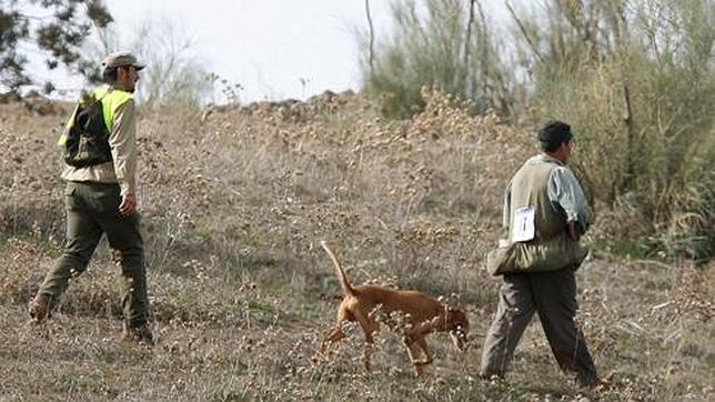 Fuensalida acogerá el Campeonato Nacional de Caza Menor con Perro