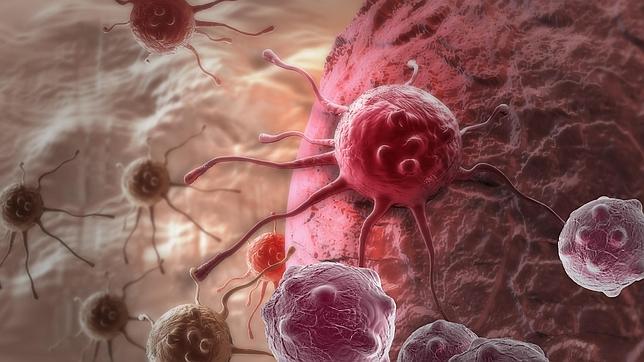 Las células tumorales aprenden a escaparse de los tratamientos