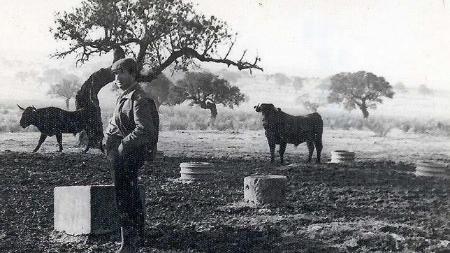 El toro «Hospiciano» pegó nueve cornadas al ganadero Victorino Martín