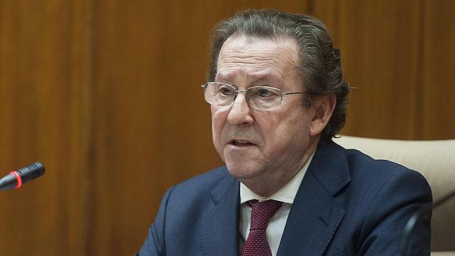 De Llera: «Si el Gobierno andaluz no es fuerte, entiendo el adelanto electoral»