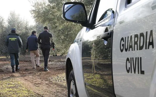 Castilla-La Mancha es una de las regiones más castigadas por robos en el campo