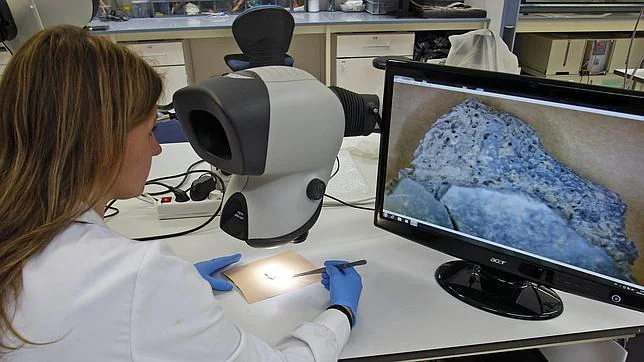 Una investigadora observa una de las piezas encontradas