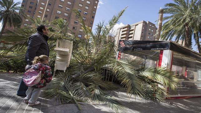 Activan la alerta por vientos de hasta 100 kilómetros por hora en Valencia y Alicante