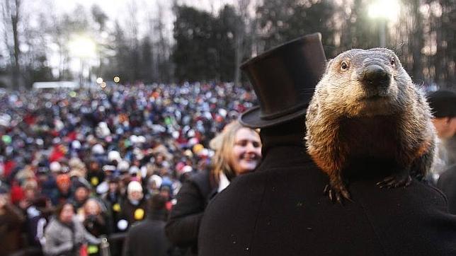 Seis semanas más de invierno en Estados Unidos según la marmota Phill