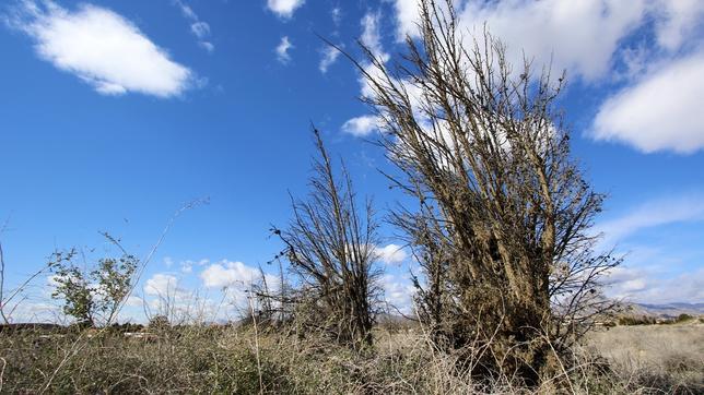 El año empieza con un 55% menos de lluvia y agrava el déficit hídrico valenciano