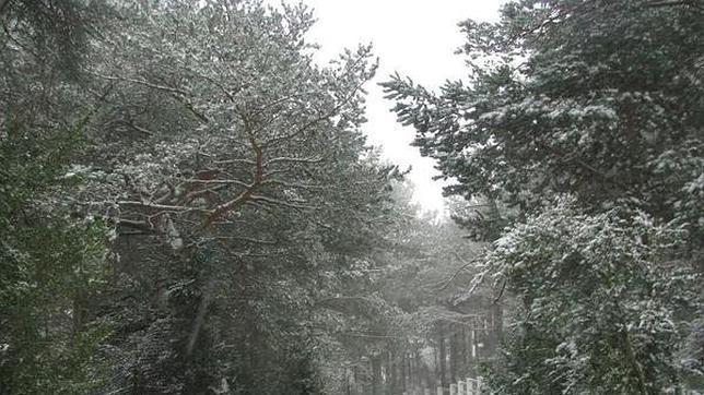 Ola de frío: la nieve cae en Valencia capital sin cuajar y Fredes marca siete bajo cero