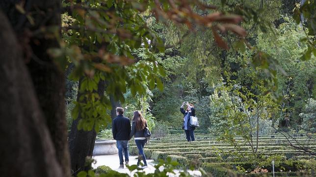 Botella talará 297 árboles en el eje Prado-Recoletos