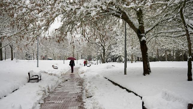 Esta es la gélida estampa que m0straban hoy los parques de la ciudad de Vitoria