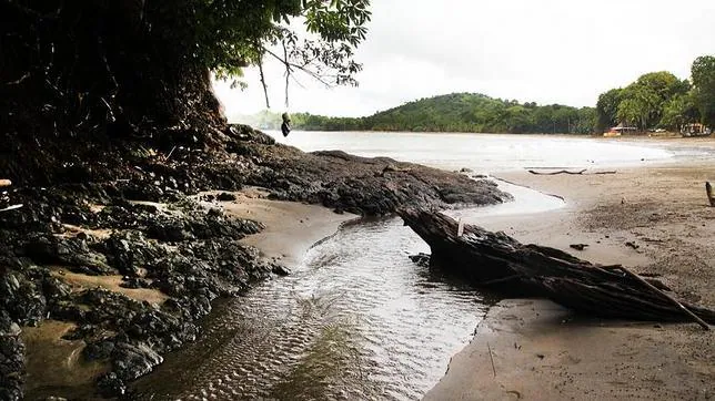 Sitio Ramsar Humedal de Panamá