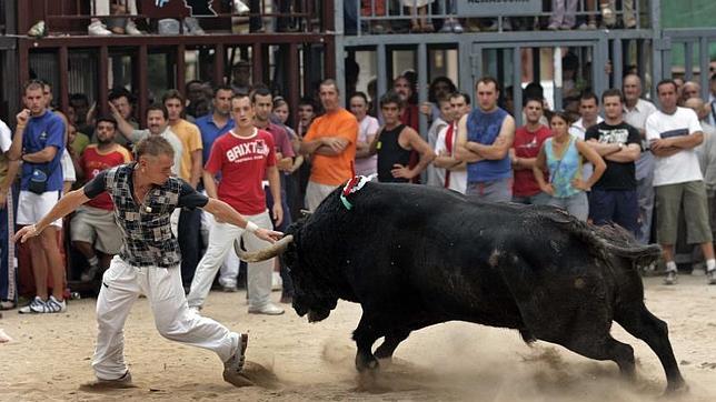 El PP de Castellón defiende los festejos taurinos ante los «ataques de la oposición»