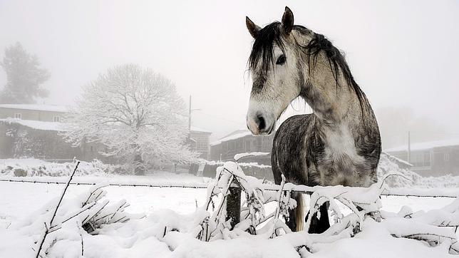 Tendrás que poner de tu parte para convertirlo en un año de superación personal.