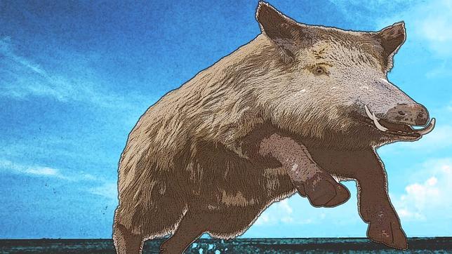 Da el primer paso en lo que a las relaciones de pareja se refiere