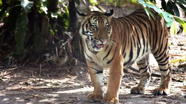 Deberás aumentar la comunicación con tu pareja para que la relación sea perfecta
