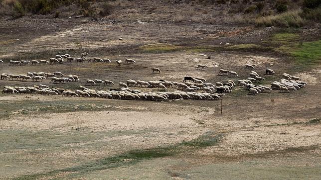 La mitad de embalses valencianos están secos mientras el Ebro se desborda de nuevo