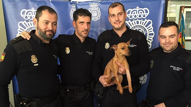 Unos policías pagan la operación a un cachorro que fue agredido por su dueño