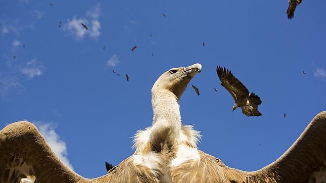 Extremadura: Una cita en un reino de las aves