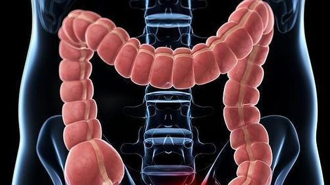 Este mineral parece actuar sobre el jere microbiota-intestino-cerebro