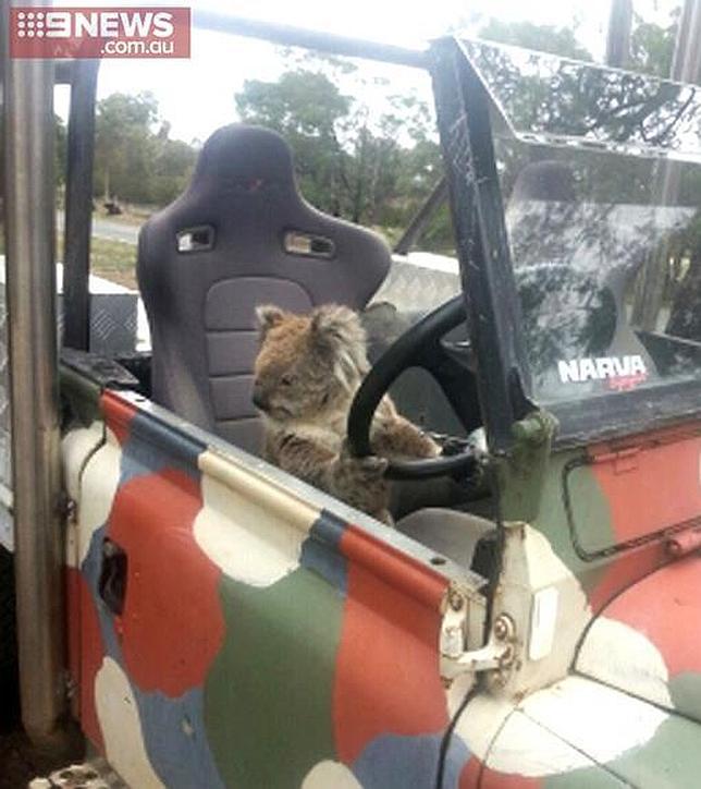 Imágenes cedidas por Sam Box a Ninenews