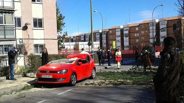 Un gigantesco pino se desploma contra un un coche en el distrito de Latina